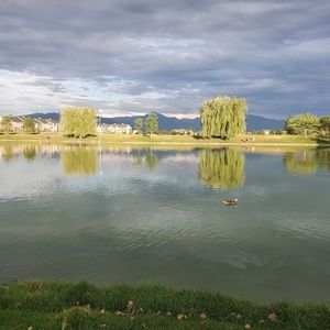 Meet your Posher, Misbah